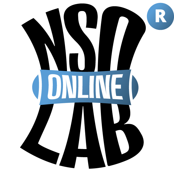 logo_nso_online2